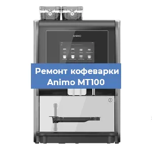 Замена дренажного клапана на кофемашине Animo MT100 в Санкт-Петербурге